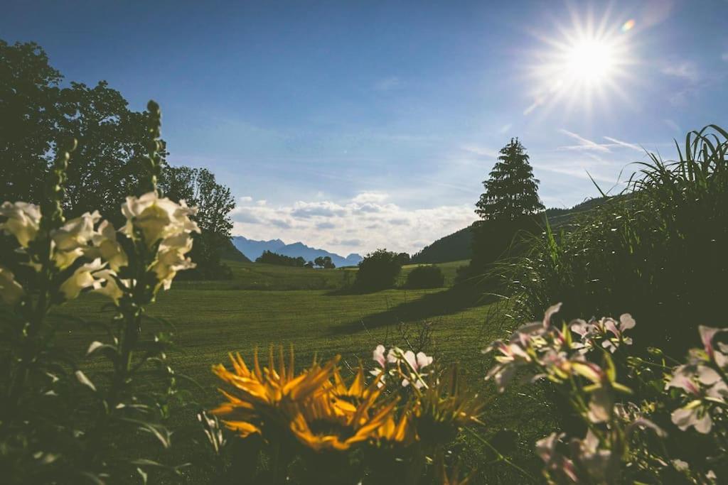 Fritzis Alpenidyll „Sommertraum & Winterromantik” Samerberg Luaran gambar