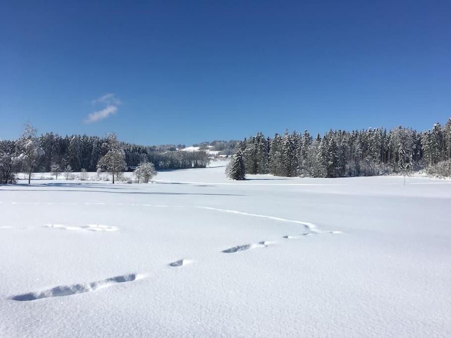 Fritzis Alpenidyll „Sommertraum & Winterromantik” Samerberg Luaran gambar