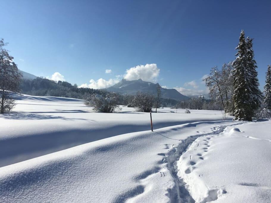 Fritzis Alpenidyll „Sommertraum & Winterromantik” Samerberg Luaran gambar